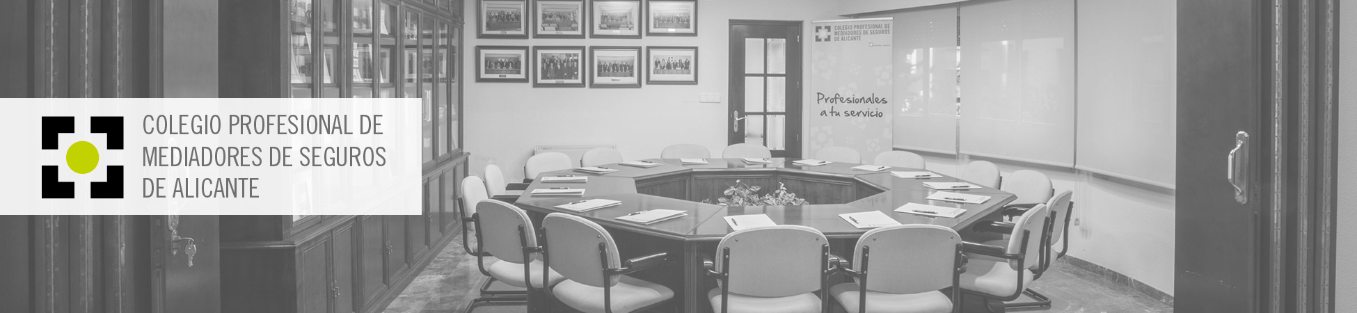 Colegio Profesional de Mediadores de Seguros de Alicante